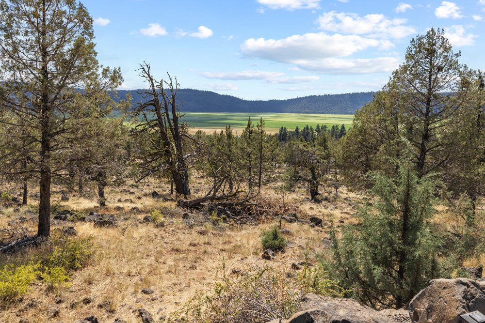 Running YResort - Residential