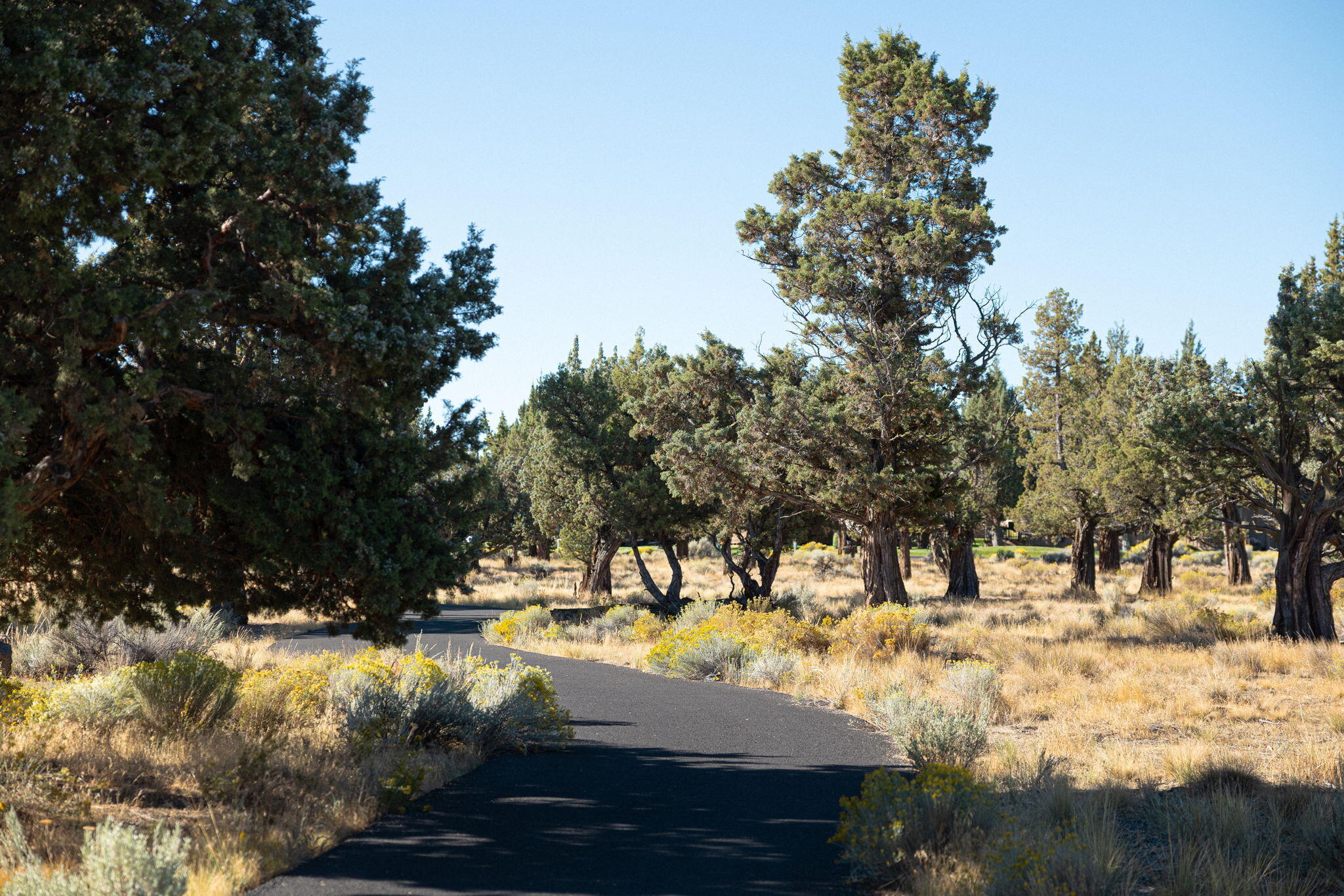 Ridge At Eagle Crest - Residential