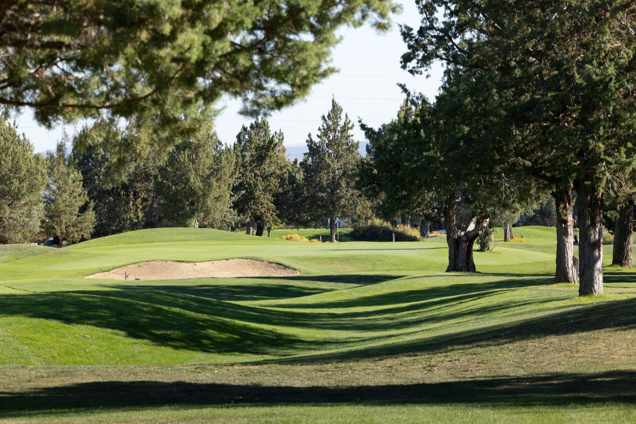 Ridge At Eagle Crest - Residential