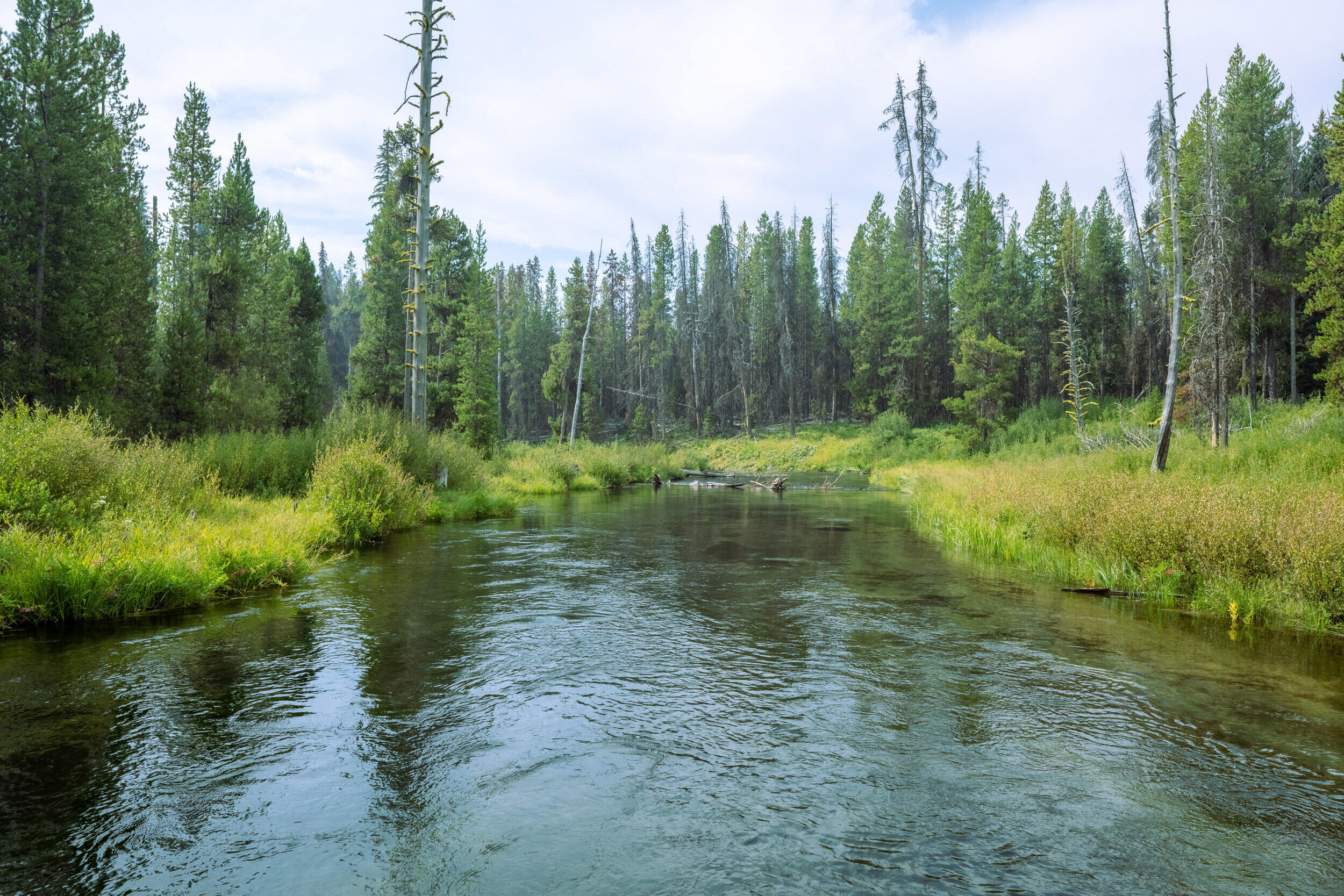 Brewers Ranchos - Residential