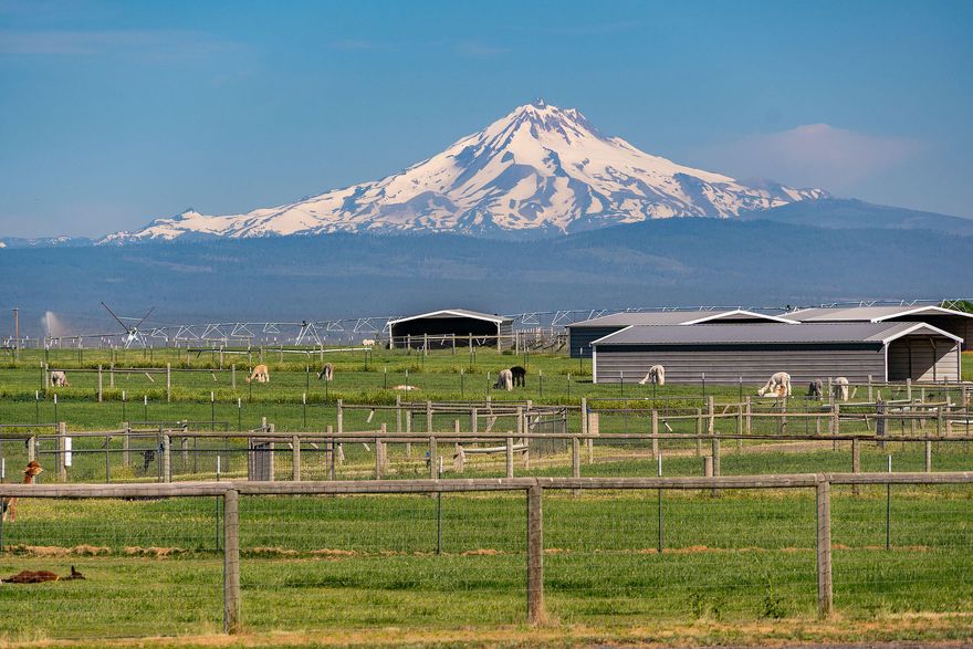 Mountain View Livestock Farm offers an exceptional opportunity to own a meticulously developed property designed for both animal care and operational efficiency. Located just outside of Culver, this 107.72± acre farm is set against the scenic backdrop of the Cascade Mountains and less than an hour from Bend, with Portland just two hours away. The farm was designed with the flexibility to accommodate a variety of livestock. Improvements include a 3,400± sq. ft. metal-framed home, a large multi-use barn with feed storage, indoor corrals, a dedicated vet room, and an apartment with an upstairs office offering expansive mountain views. A second barn with 8 stalls with runs, and a smaller 5-stall horse barn. The property also includes 13 livestock shade shelters and over 30 automatic, heated waterers. 106± acres of NUID water rights, applied mostly by pivot and underground sprinklers. This is very well maintaned farm, with many more details to see.