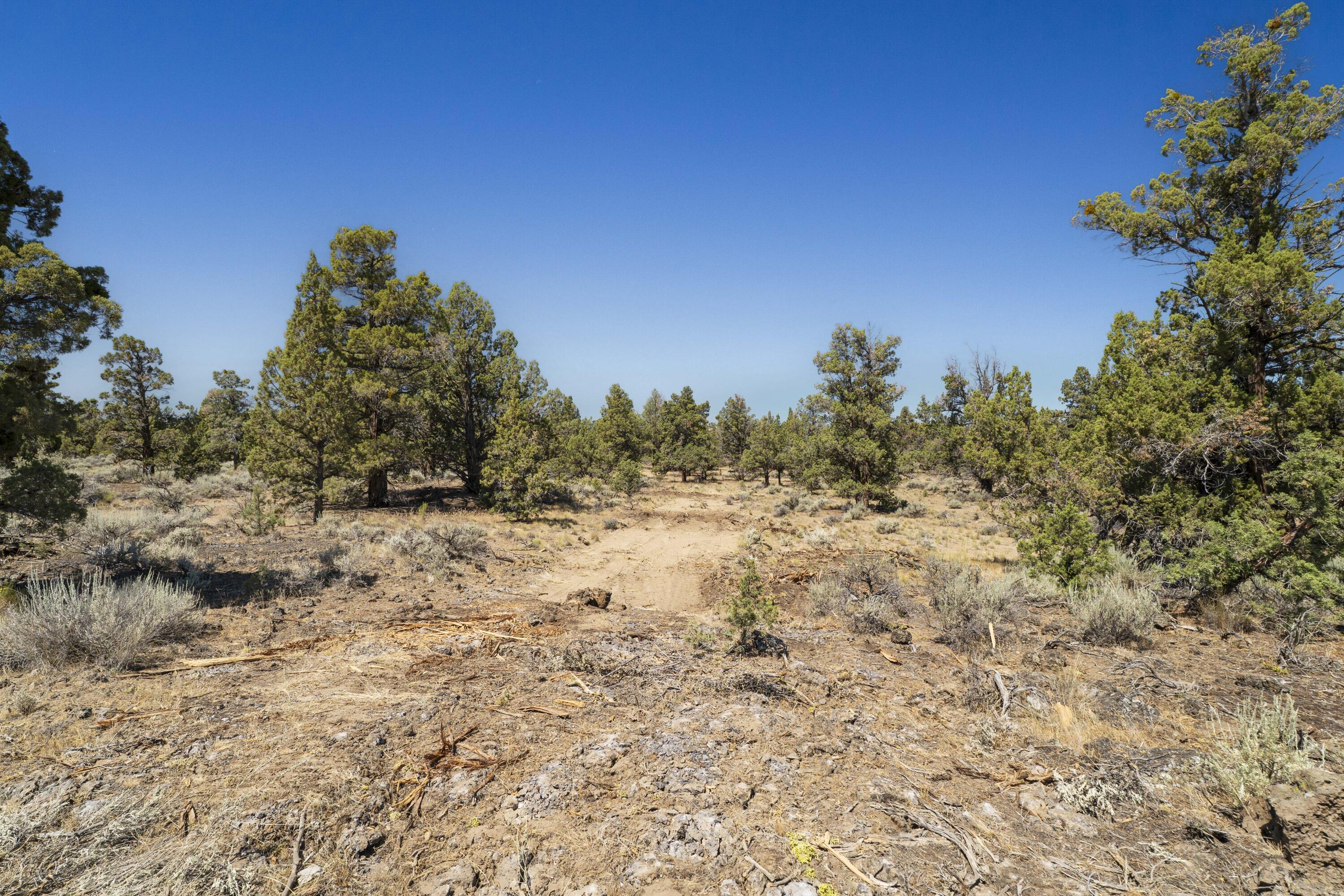 68385 Conquest Road Lot 6