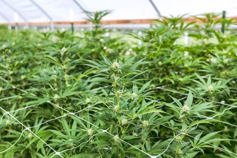 Tiny photo for 2315 Upper River Road Loop, Grants Pass, OR 97527 (MLS # 220212551)