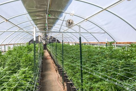 Tiny photo for 2315 Upper River Road Loop, Grants Pass, OR 97527 (MLS # 220212551)