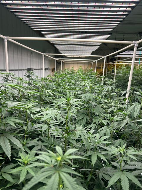 Tiny photo for 2315 Upper River Road Loop, Grants Pass, OR 97527 (MLS # 220212551)