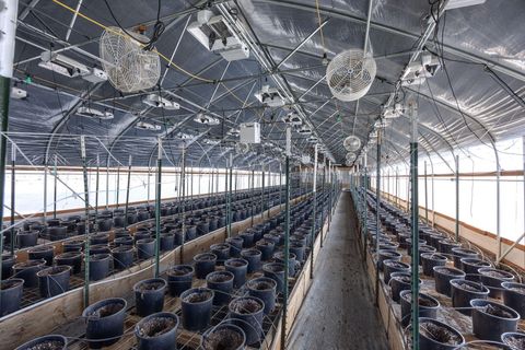 Tiny photo for 2315 Upper River Road Loop, Grants Pass, OR 97527 (MLS # 220212551)