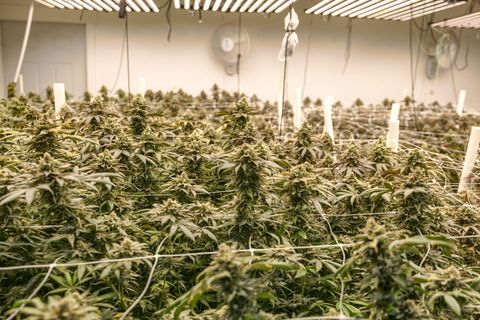 Tiny photo for 2315 Upper River Road Loop, Grants Pass, OR 97527 (MLS # 220212551)