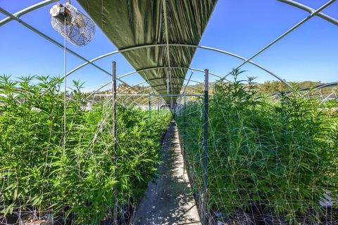 Tiny photo for 2315 Upper River Road Loop, Grants Pass, OR 97527 (MLS # 220212551)