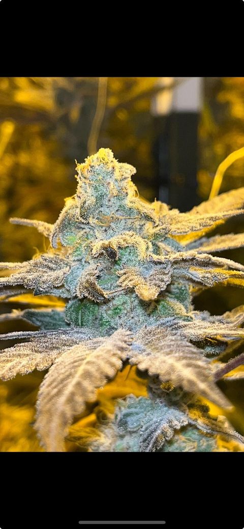 Tiny photo for 2315 Upper River Road Loop, Grants Pass, OR 97527 (MLS # 220212551)