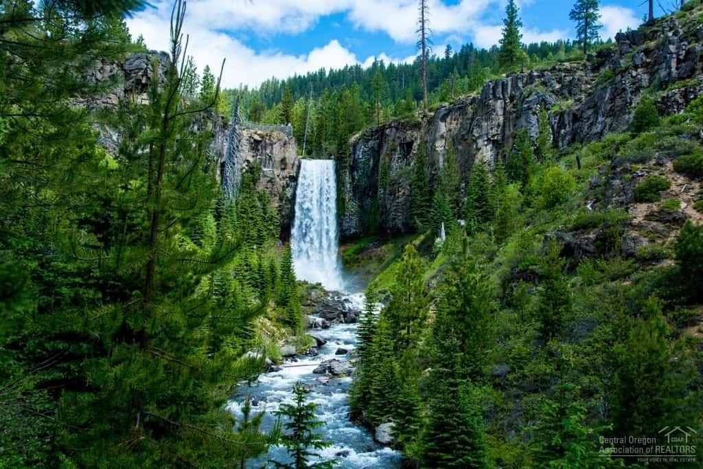 Forest Creek - Residential