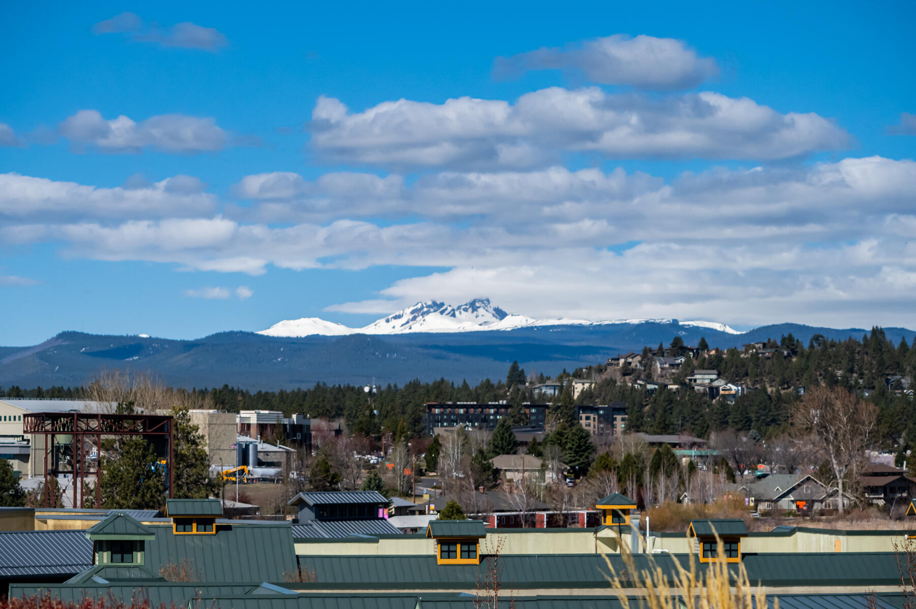 Plaza Condominiums - Residential