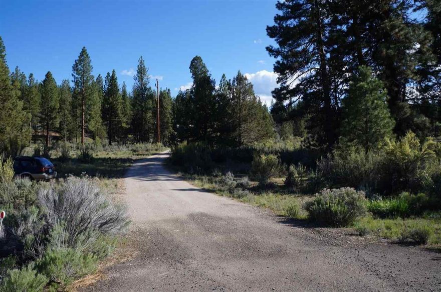 This 3 Bedroom 2 Bath Home Is Located On A 8.54 Acres In The Pines. Walking Distance From The Sprague River. The River Is Just The Other Side Of Hwy 140 And Has Good Fishing. There Is An Older 1970s Single Wide On The Property That Is Of No Value. Could Be Used For Storage. There Is A Car Port And The Land Is Gradual Slopping. The Land Could Be Fenced For Animals.