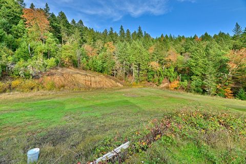 Tiny photo for 2150 Bridge Lane, Wolf Creek, OR 97497 (MLS # 220211970)