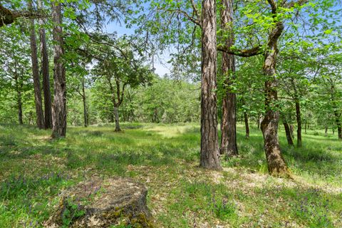 Tiny photo for 466 Three Pines Road, Grants Pass, OR 97526 (MLS # 220217355)