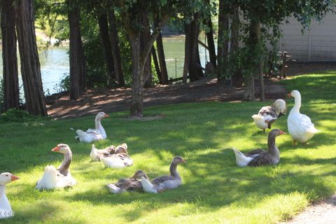 Tiny photo for 5061 Lower River Road, Grants Pass, OR 97526 (MLS # 220224483)
