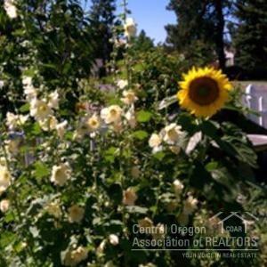 Center - Residential