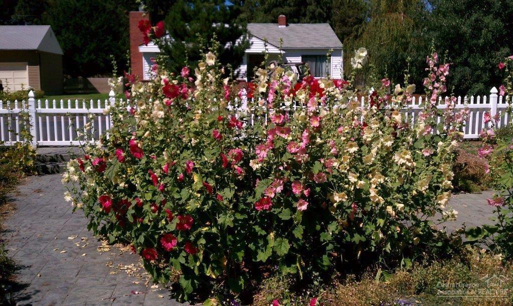 Center - Residential