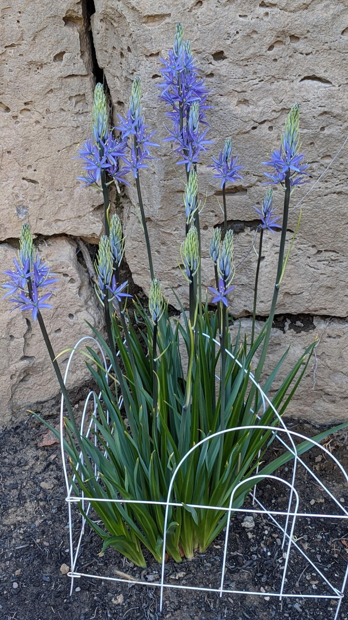 Yardley Estates - Residential