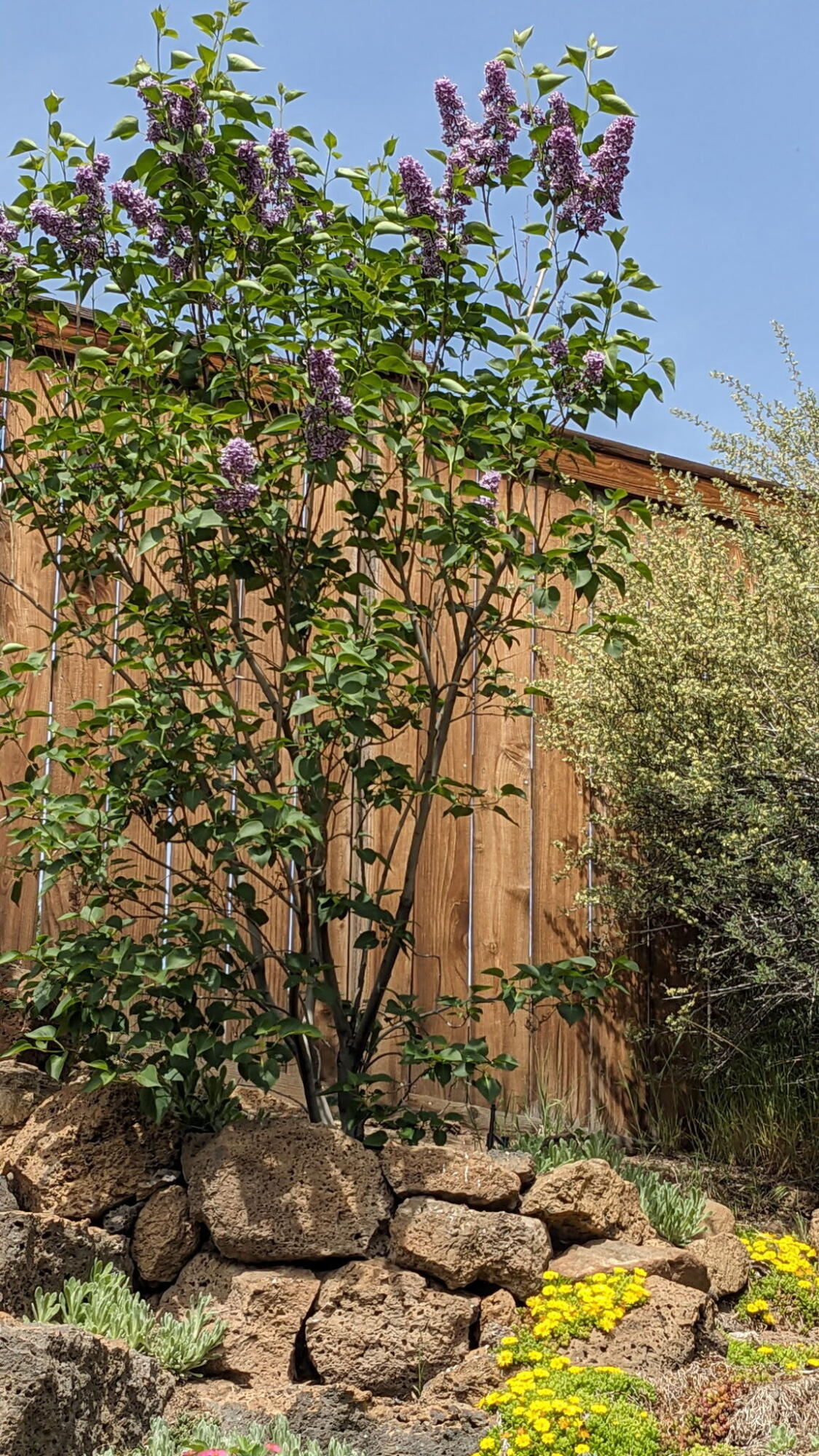 Yardley Estates - Residential