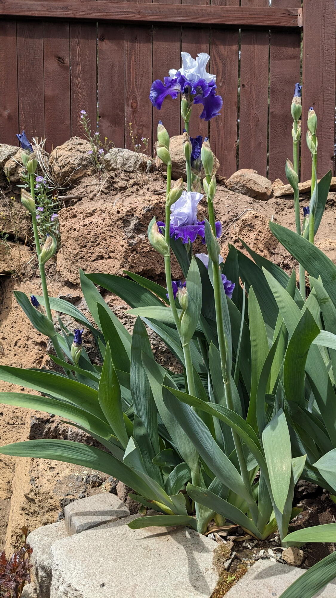 Yardley Estates - Residential