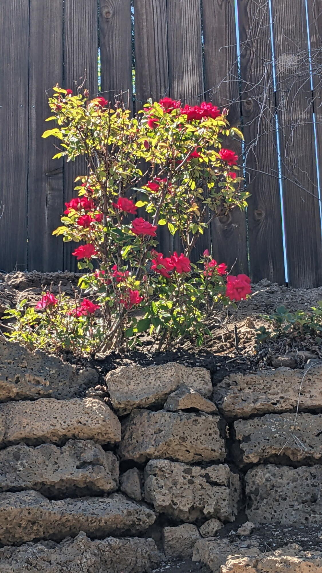 Yardley Estates - Residential