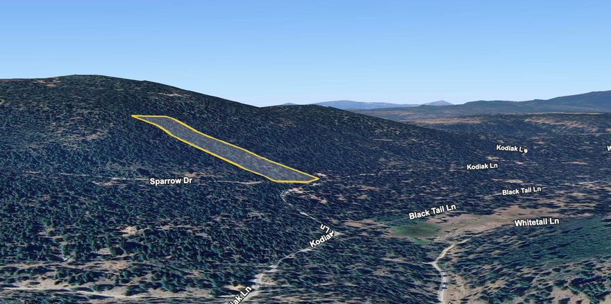 Discover your own private haven with this 9.38-acre parcel of sloped, forested land. Just 5 minutes off of Hwy 140 lies this untouched slice of wilderness that offers towering trees and views of the surrounding forrest making it an ideal retreat for nature lovers, off-grid living enthusiasts, or those looking to build a dream cabin in the woods. Whether you're seeking a weekend getaway, a hunting or hiking basecamp, or simply a quiet spot to reconnect with the outdoors, this property offers endless potential in a truly serene setting.
Bring your vision, your boots, and your sense of adventure this wonderful piece of land is ready for you.