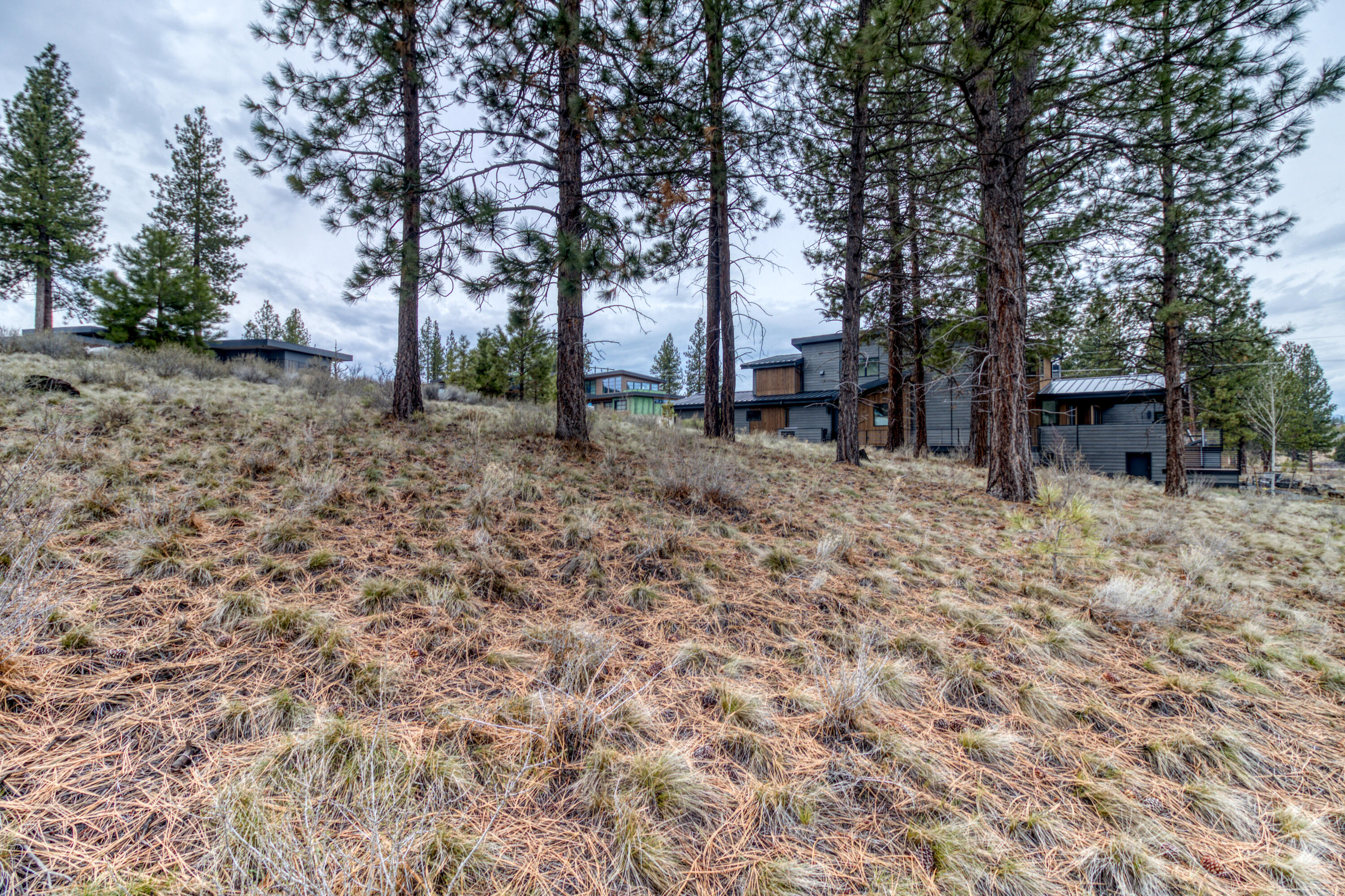 61841 Hosmer Lake Drive 377