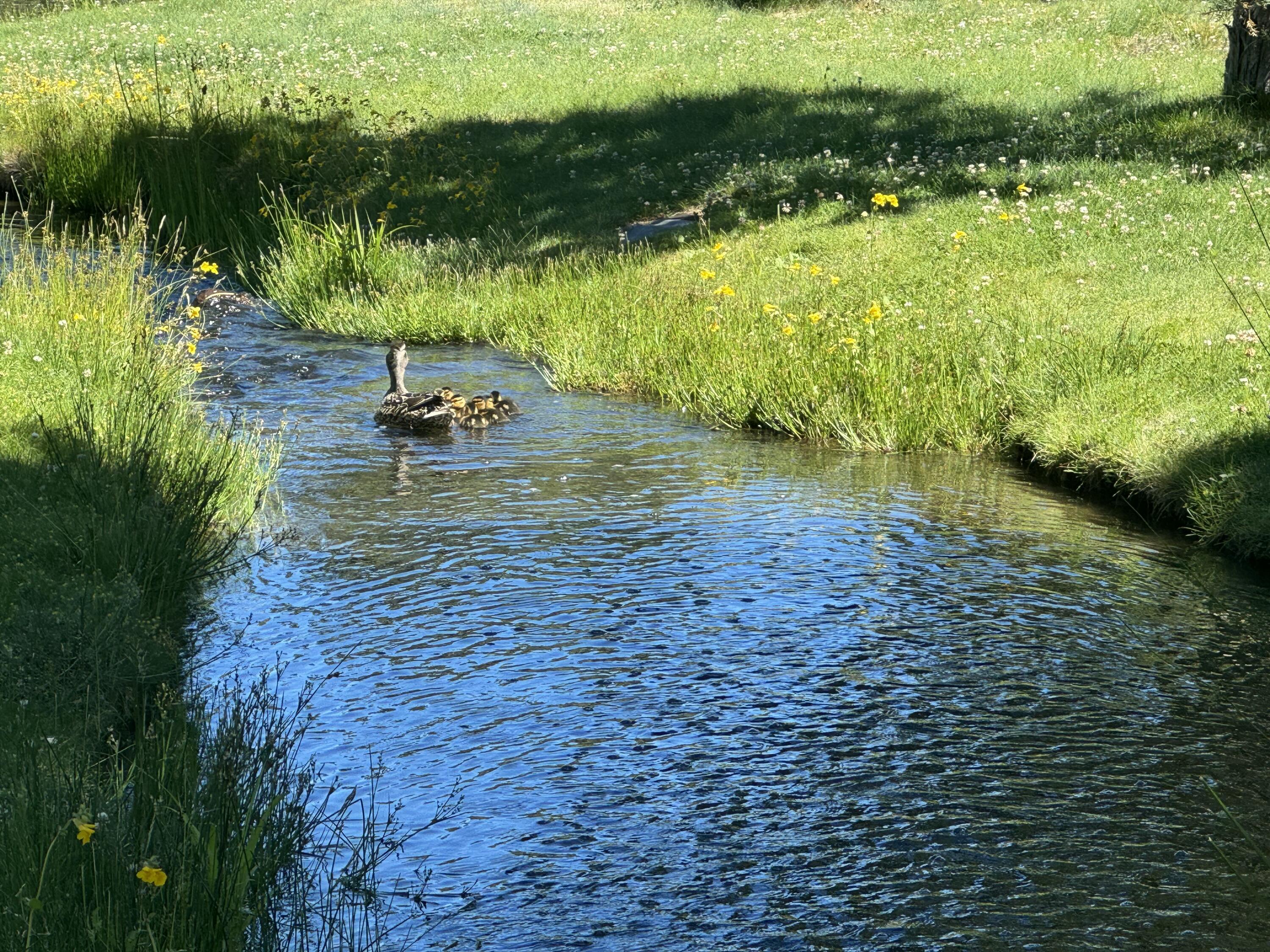 Eagle Crest - Residential
