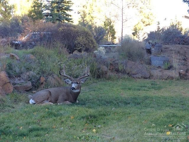 Homestead - Residential