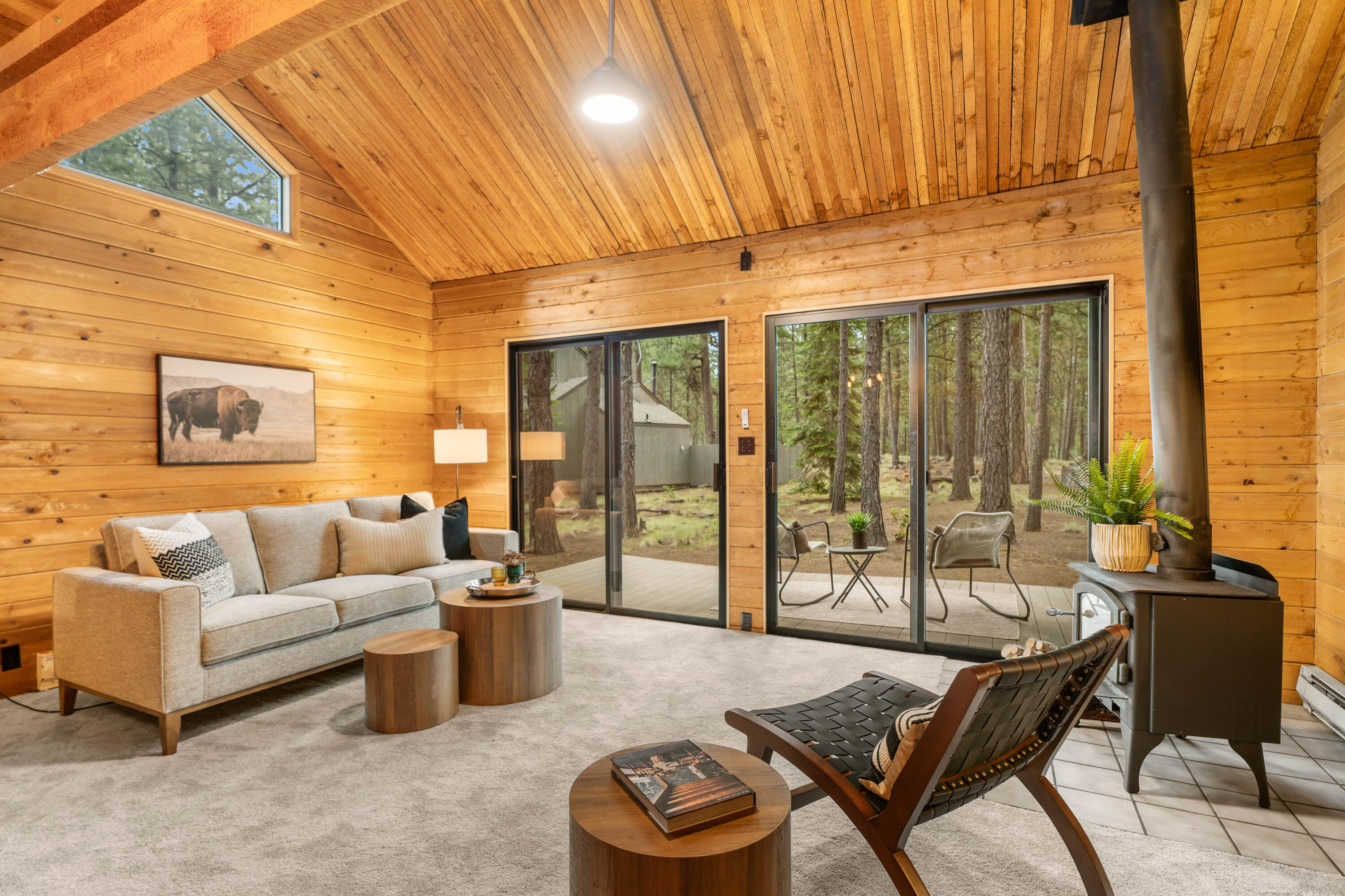 70948 Mules Ear TC 1