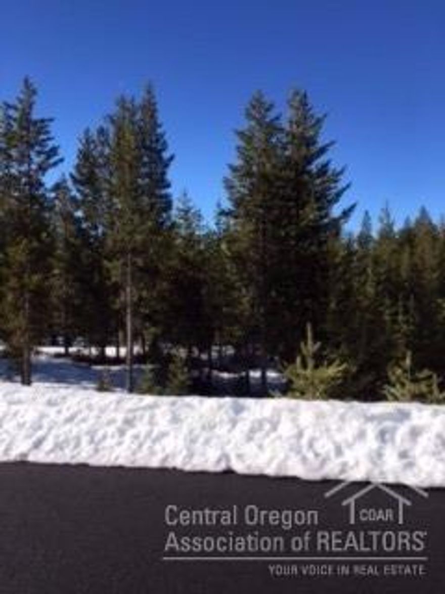 Possible owner financing. Reasonably priced lot in a Great subdivision. Paved roads year round Close to Willamette Pass Ski area, and all high mountain lakes.