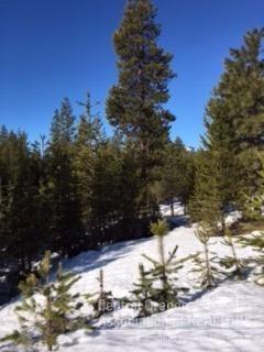 Diamond Peaks - Land