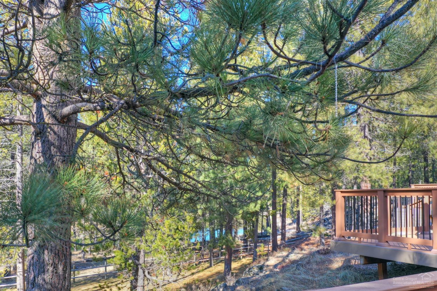 River Village - Residential