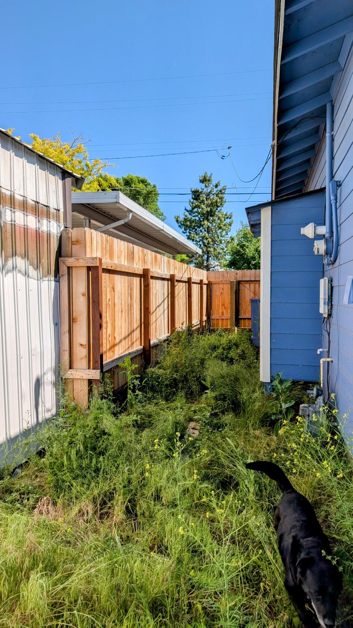 Altamont Acres - Residential