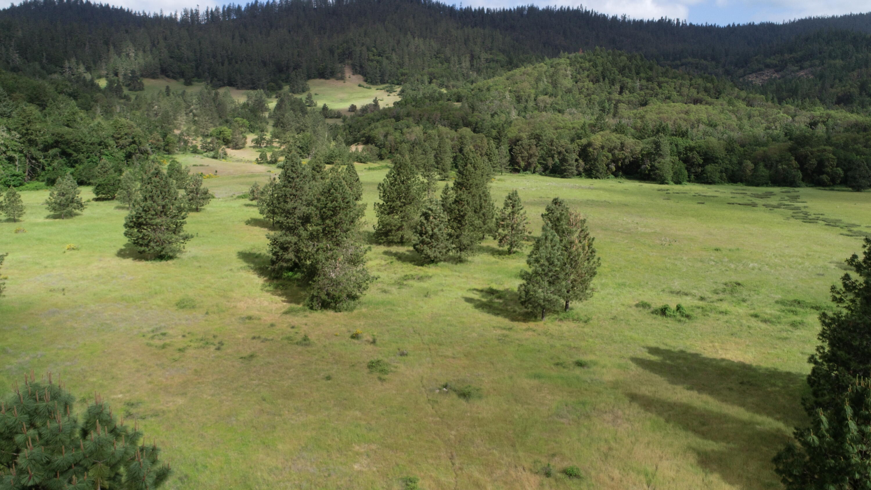 Cow Creek Road 100