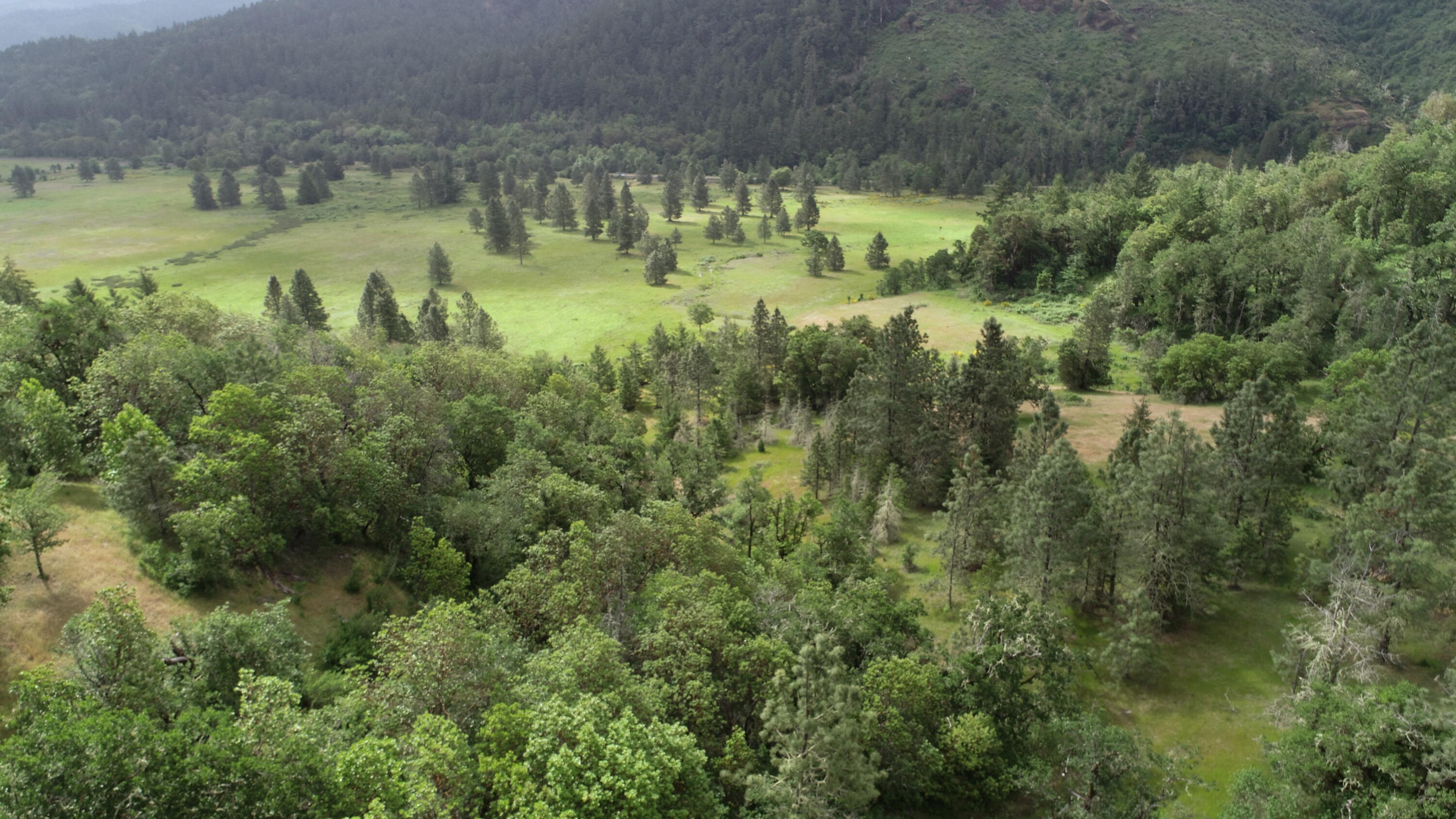 Cow Creek Road 100