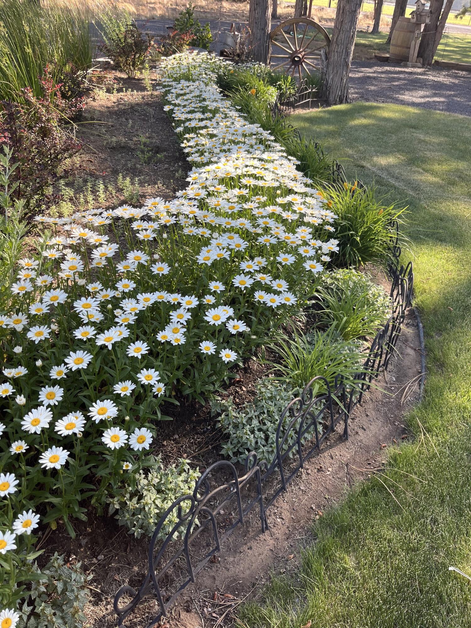 Forked Horn Estate - Residential