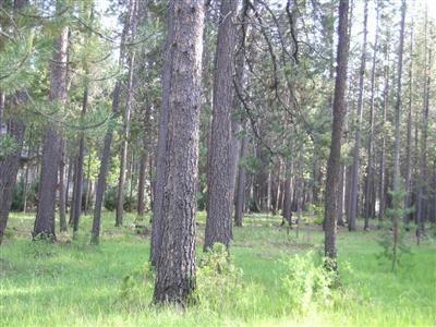 River Meadows - Land