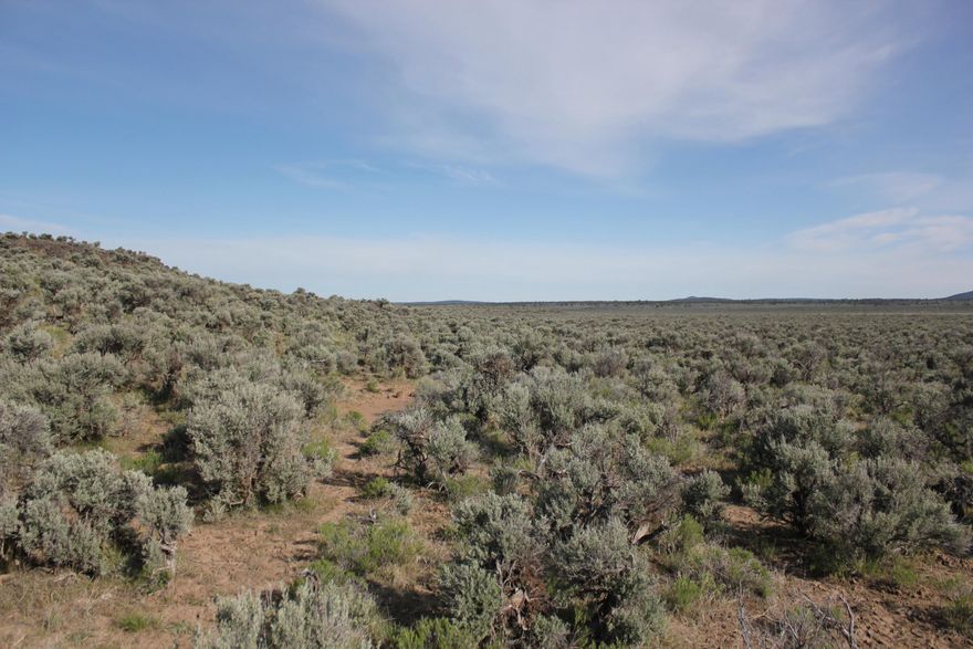 Expansive rural 165 acre property in Lake County. ATV and Dirt bike paradise with miles of riding nearby. Several small lakes close by with great hunting and bird watching. Less than 5 miles to The Lost Forest Research Natural Area with great hiking and campsites. Christmas Valley Sand Dunes and Glass Butte also nearby. Property includes a couple small sheds and yurt platform. Conditional Use Permit may be possible. Check with county. Buyer to do due diligence.