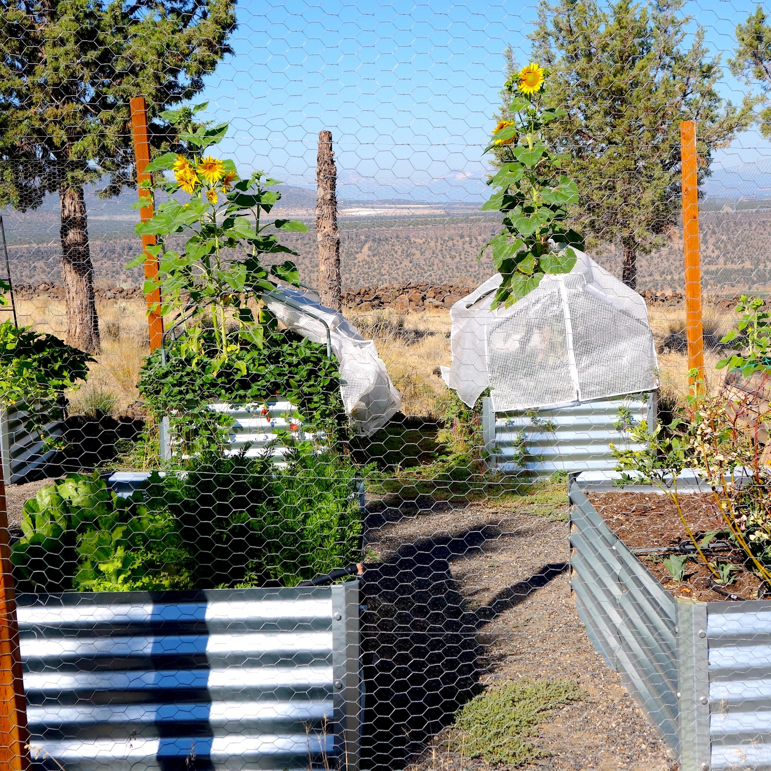 Highlands - Residential