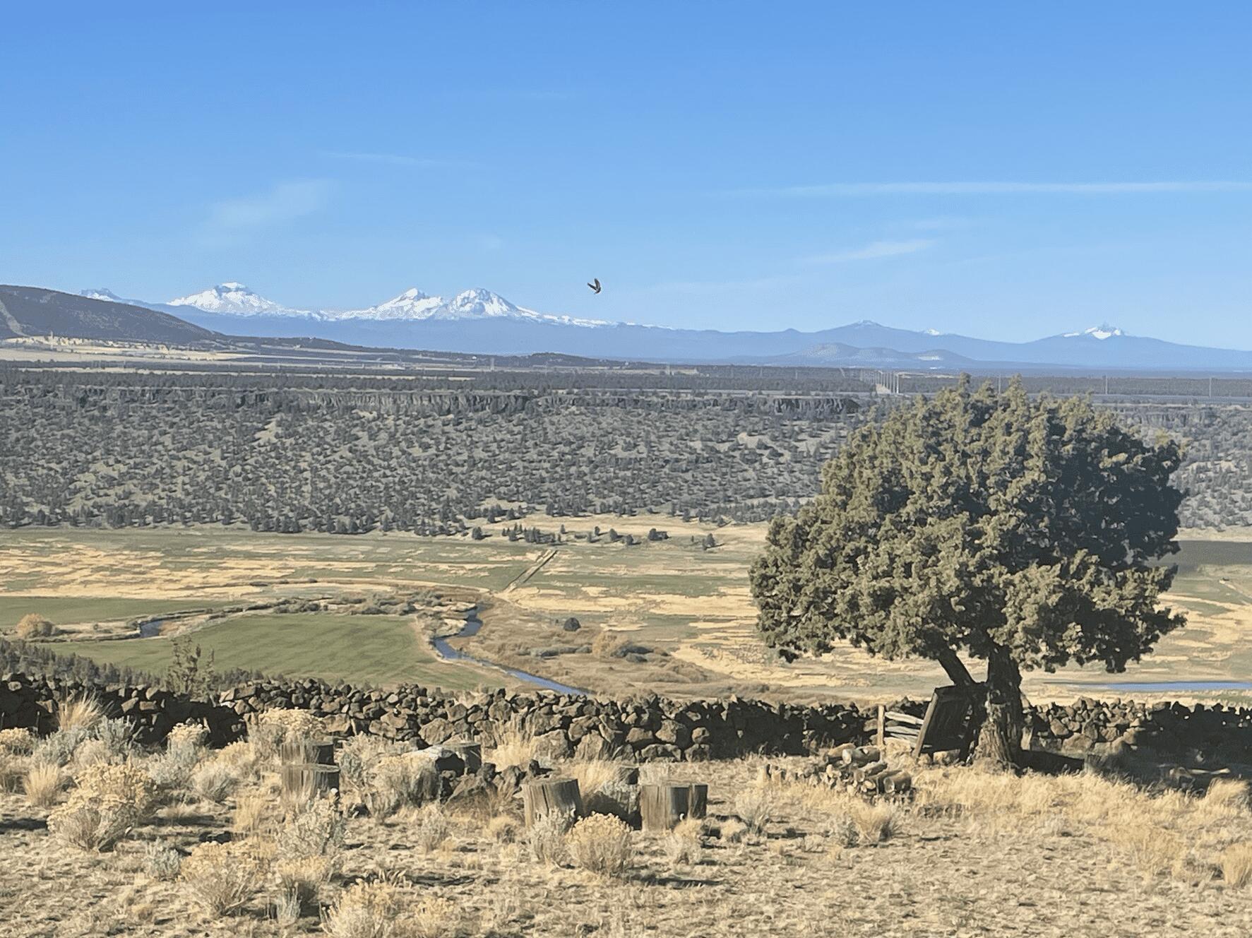 Highlands - Residential