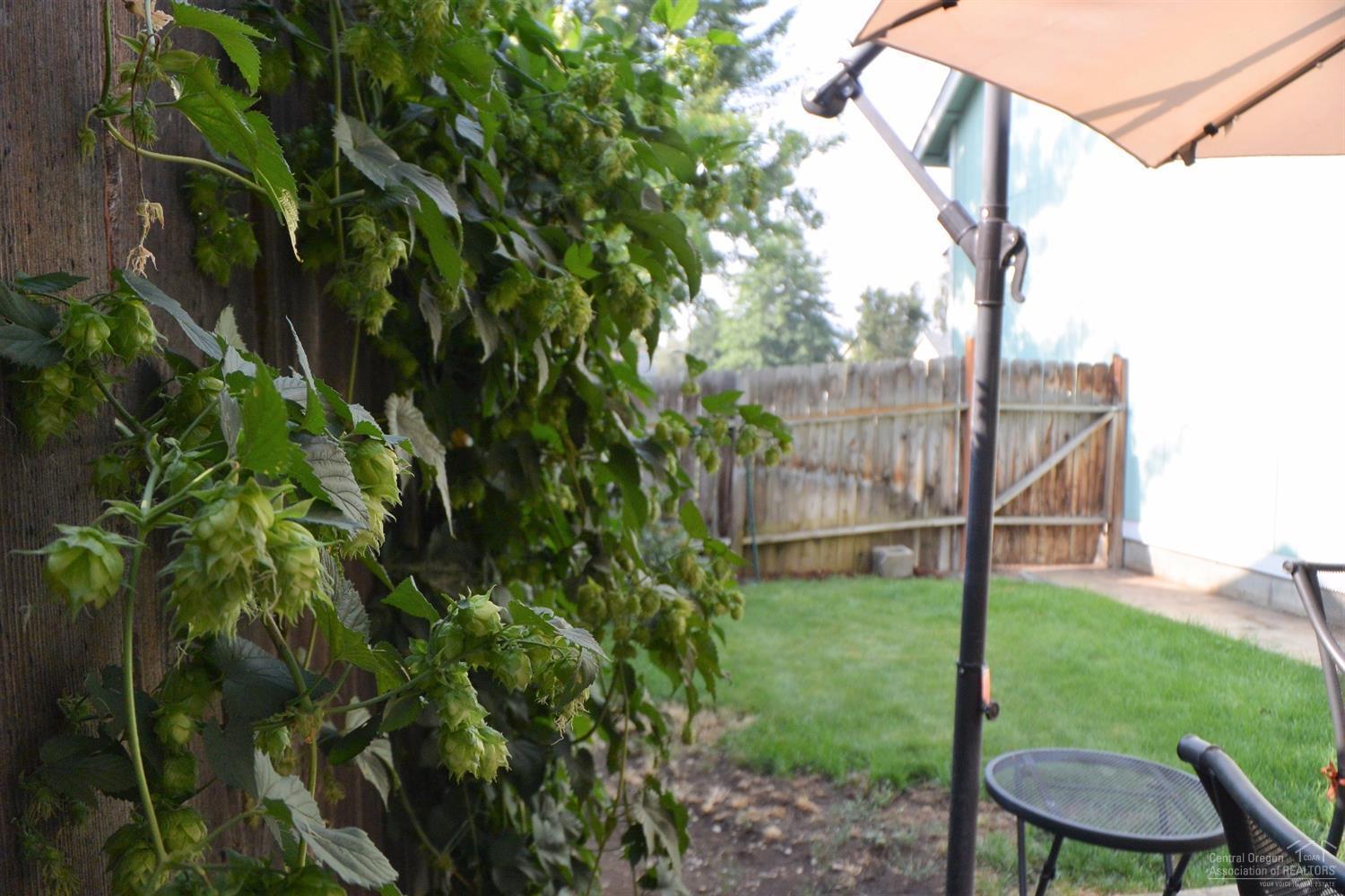 Royal Yeoman - Residential