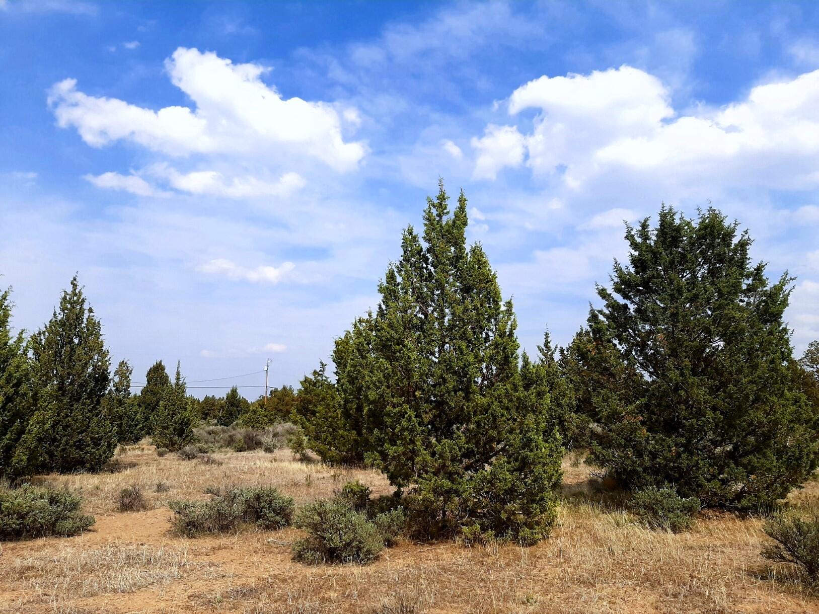 Prineville Lake Acres 2 - Land