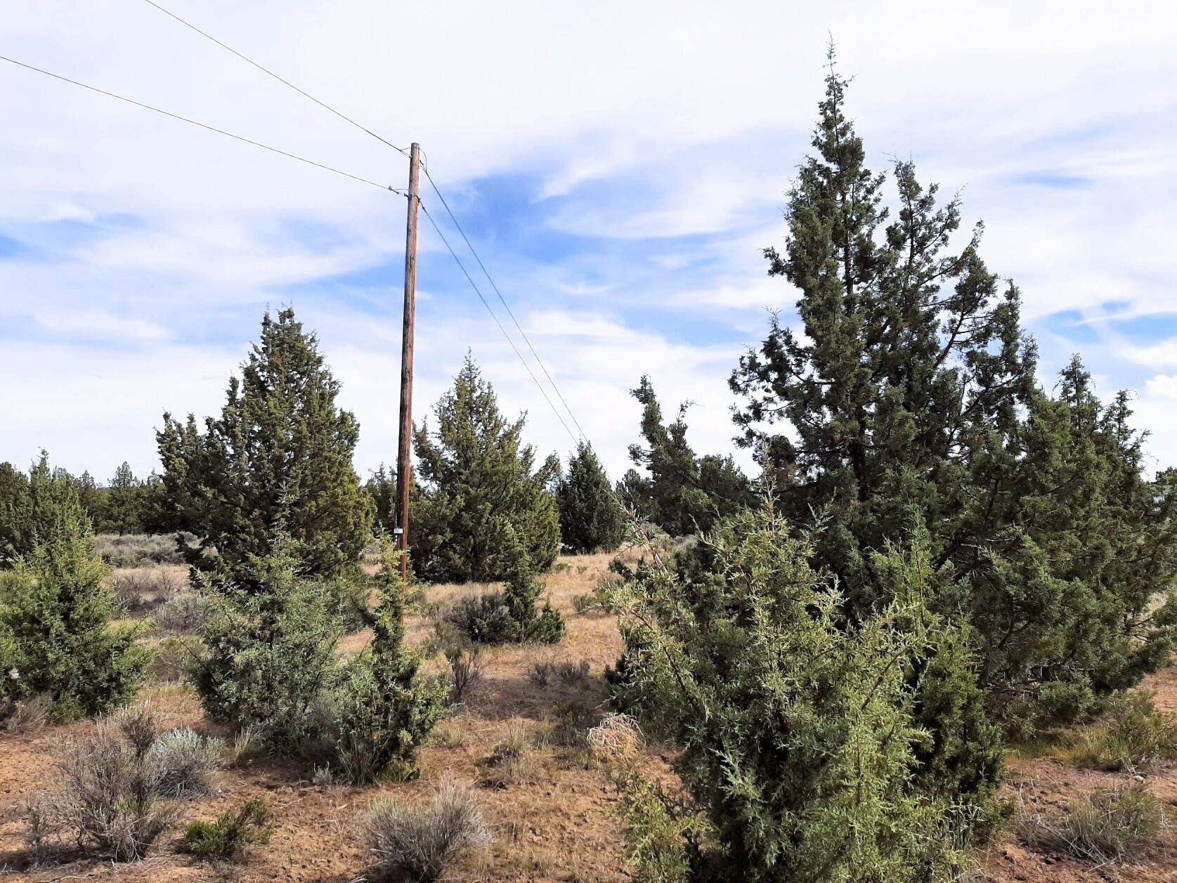 Prineville Lake Acres 2 - Land