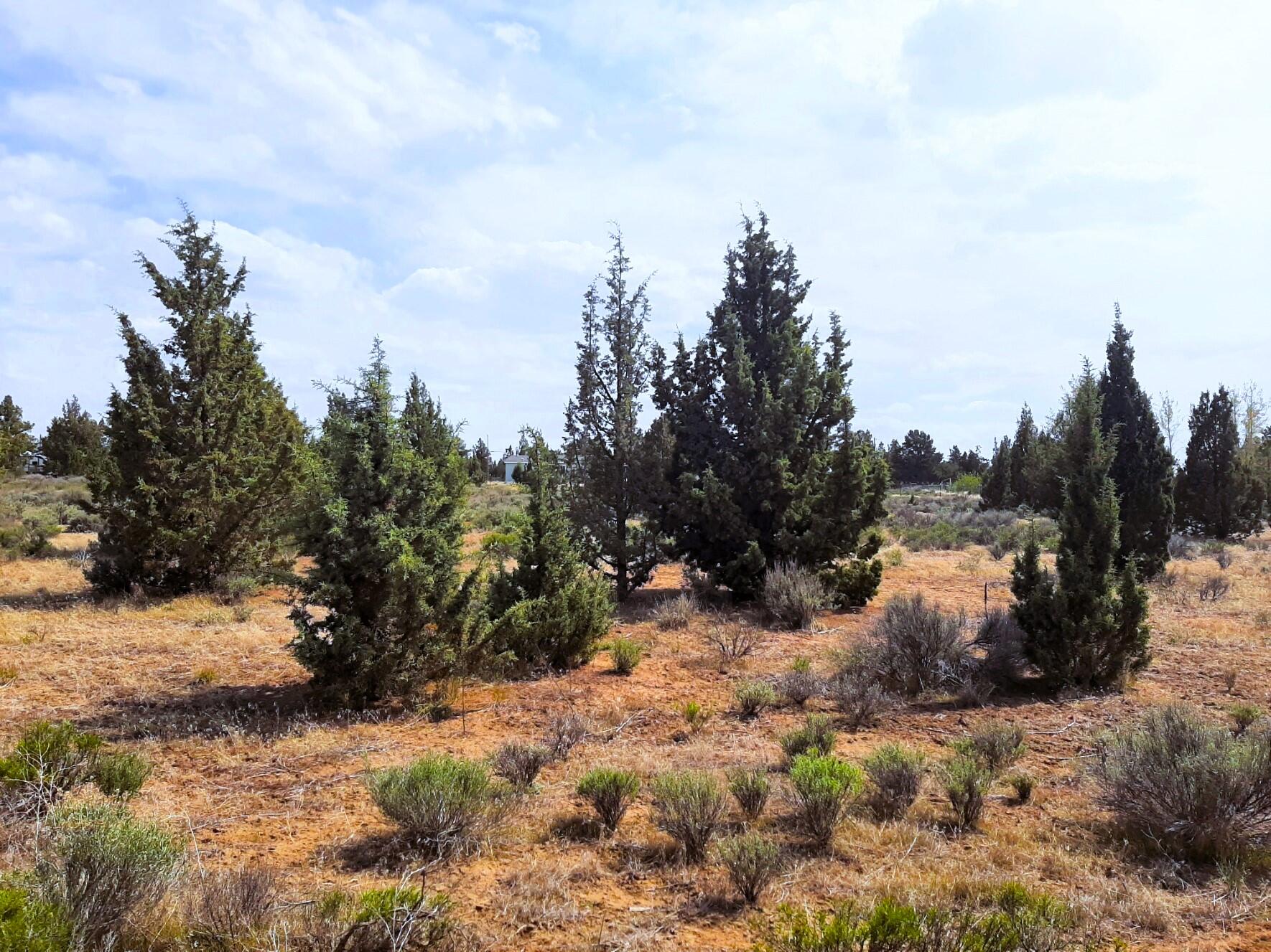 Prineville Lake Acres 2 - Land