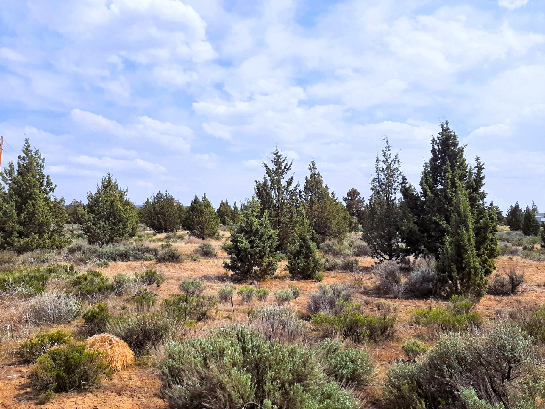 SE Tillamook Loop