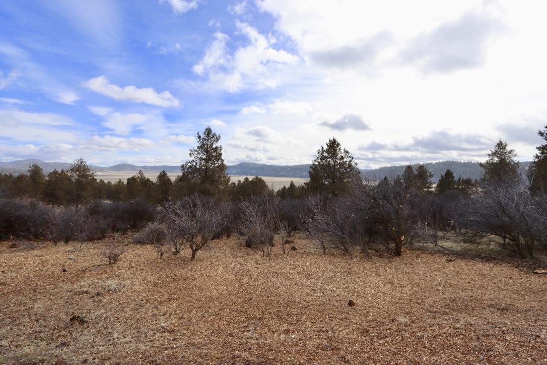 Running YResort - Land