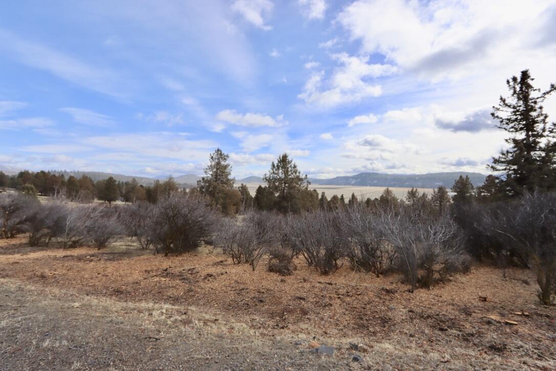 Running YResort - Land