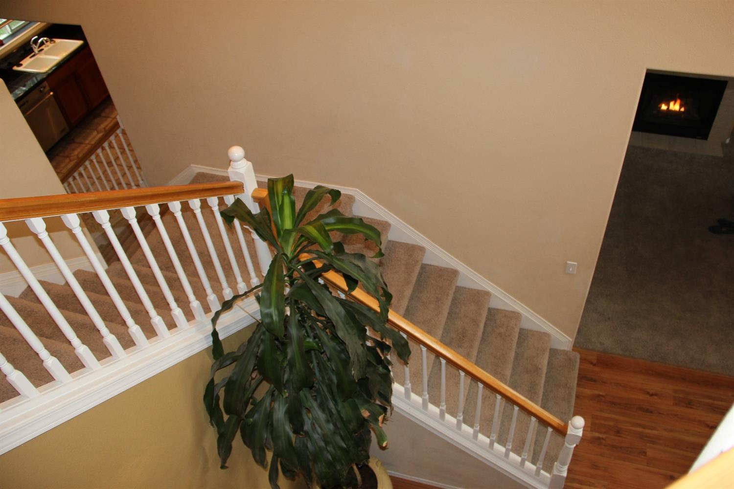 South View - Residential