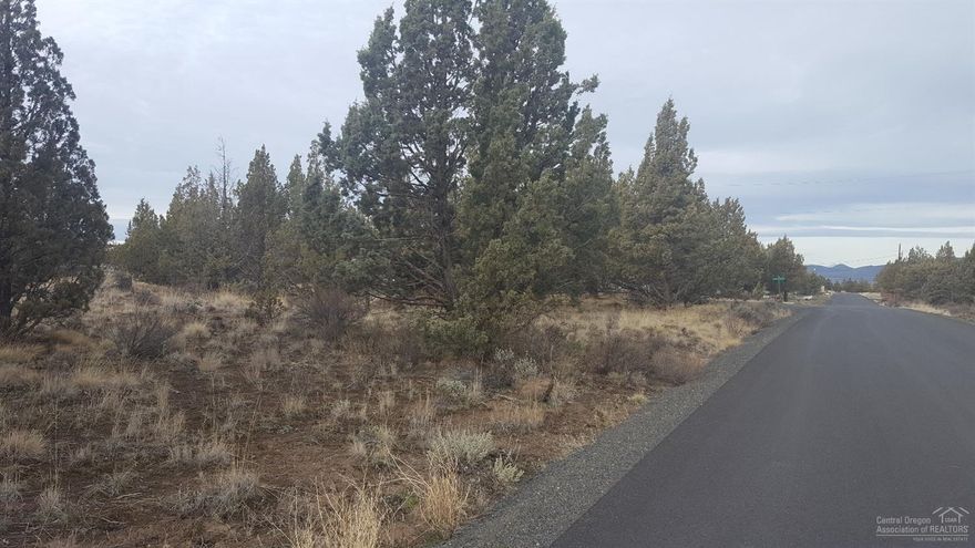 Just under 2 acres, this flat, nicely treed lot is conveniently located on the corner of Sioux and Navajo. Roads are paved all the way to Navajo. Peace and quiet, with plenty of room for your dream home, and the animals too!